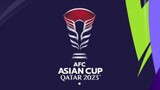 VIETNAM VS INDONESIA (AFC ASIAN CUP QATAR 2023)
