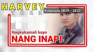 Nagkakamali kayo ng INAPI   Kabanata 3829 - 3832