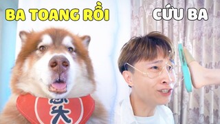 Đông Dương Đại Ngáo | Papa Đã Bay Màu Chỉ Vì Tin Lời Của Đông Dương Ngáo... 🤣Gâu Đần Official