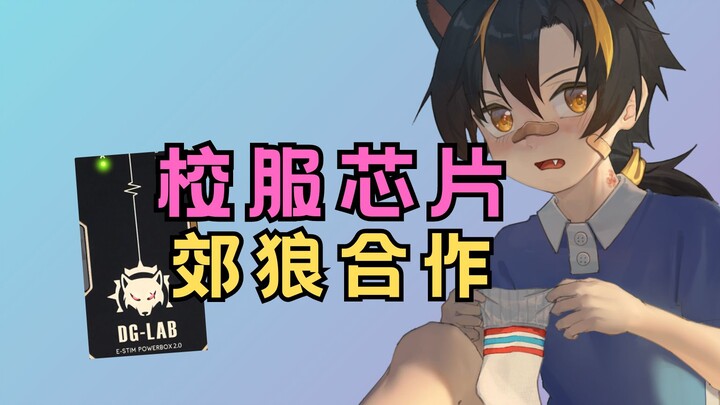 校服装芯片？郊狼中控！