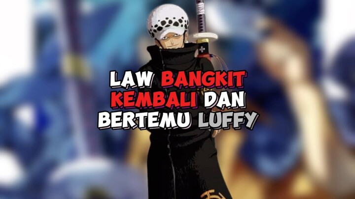 Law Bangkit Kembali Dan Bertemu Luffy !!!