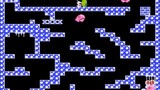 Chack 'n Pop (NES) - 90 Mazes