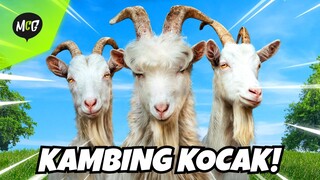 Kambing Kocak Merusuh di Kota!