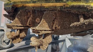 Extreme barnacle blasting and removal from the bottom of the ship, overcoming intensive fear and eas