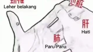 Ilmu Saraf