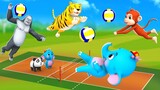 Funny Animals Play Volley Ball in Forest | Monkey & Gorilla  Animals Games Cartoon Comedy Video