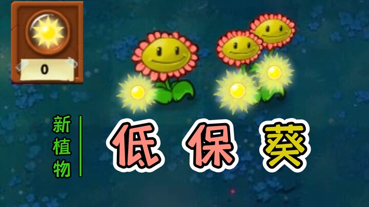 新植物：低保葵