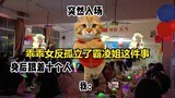 [Meme kucing] Tentang gadis baik yang mengisolasi pengganggu di sekolah (Bagian 2)