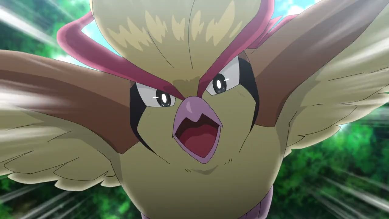 Assistir Pokemon: Mezase Pokemon Master ep 11 - FINAL HD Online