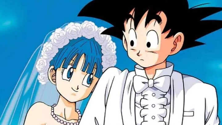 Bulma: Mr. Sun, I have been [gradually attracted to you]