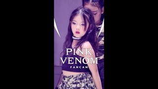 ดูหนูเต้นก่อนจ้า 🥹 PINK VENOM รุ่นจิ๋ว -  น้องน่ารักๆ ดูกันเพลินเลยจ้า 🥹 FANCAM