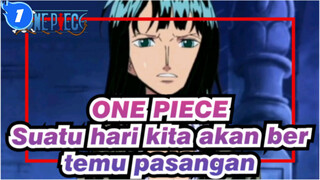 ONE PIECE|【Nicole &Robin】Suatu hari kita akan bertemu pasangan_1