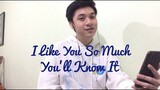 I Like You So Much, You'll Know It (Ysabelle Cuevas English Version Cover)