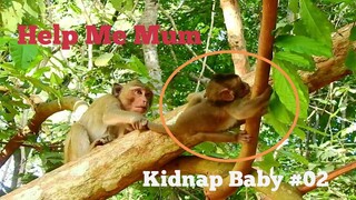 OMG Kidnapper Monkey Kidnap Baby Lucas Long Time, Baby Try Hard To Escape, Lucas Was Kidnapped 02