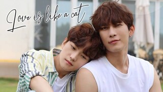 🇰🇷 𝗟𝗼𝘃𝗲 𝗜𝘀 𝗟𝗶𝗸𝗲 𝗔 𝗖𝗮𝘁 | Episode 1 ENGSUB