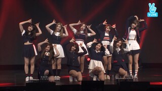 170515 SIGNAL - TWICE SHOWCASE #4 SIGNAL