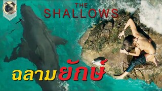 (สปอย) นรกน้ำตื้น THE SHALLOWS [ติดอยู่กลางทะเลกับฉลามยักษ์]