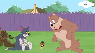 [Phiên bản trung | Tom và Jerry] Anh họ lớn trên trần nhà