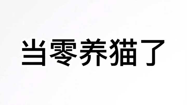 【名柯|零】当零养猫了