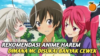 3 Anime Harem Dimana Tokoh Utama Dikelilingi Banyak Cewek Cantik‼️