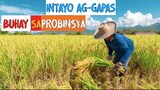 INTAYO AGGAPAS | Buhay Probinsya | Province Life 3 Kanlungan Cover