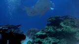 Great Barrier Reef with David.Attenborough 2of3 - Visitors