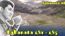 The Pinnacle of Life / Kabanata 481 - 485