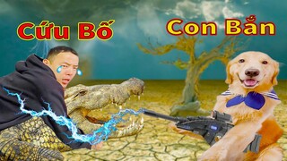 Thú Cưng TV | Tứ Mao Đại Náo #40 | Chó Golden Gâu Đần thông minh vui nhộn | Pets cute smart dog