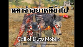 Call of Duty Mobile : จุดจบของหมาดำ Y_Y EP.2