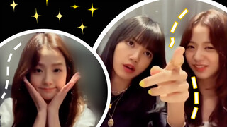 [BLACKPINK] Funny live videos