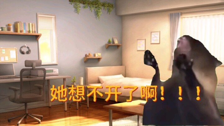 【Meme mèo】Mẹ tôi nghĩ rằng tôi sẽ khởi nghiệp nhưng tôi chỉ là một con người 2D…