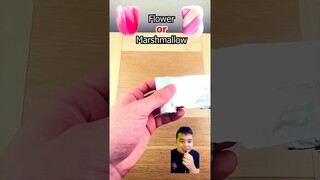 bunga atau Marsmelo ayo tebak #oddlysatisfying #satisfying #relaxing #soapcutting #dubbing