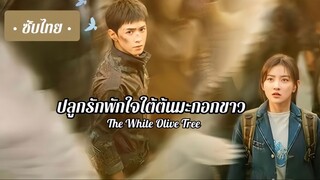 Ep 35
