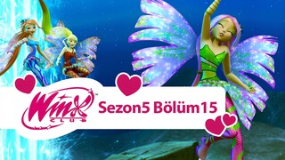 Winx Club - Sezon 5 Bölüm 15 - Işık Sütunu