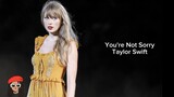 Taylor Swift's "You're not Sorry" | Lyrics