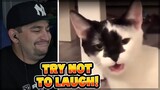 Try Not to Laugh - Instant Regret Compilation #47😂🔥