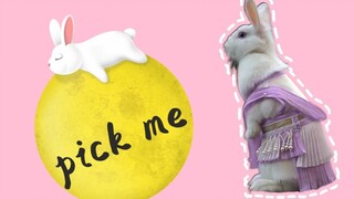 pick me #Mid-Autumn Festival#cute pet