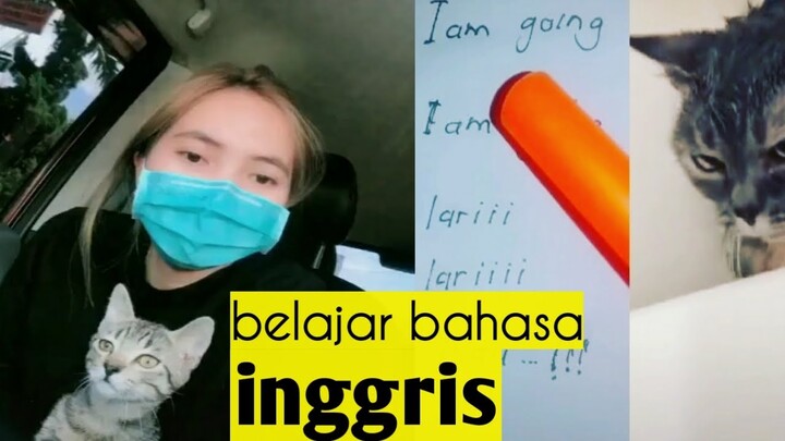 Suara kucing lucu ngomong bahasa inggris( Iam going )| lucu ria