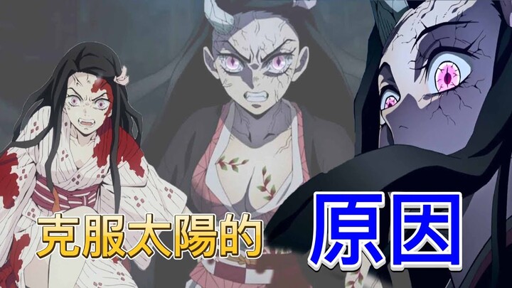 【鬼滅之刃】禰豆子 | 能克服太陽的原因 | 奇跡的鬼后