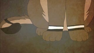 Hawkfrost AMV [Don't Stop]