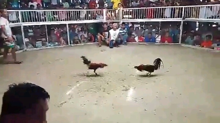 signature line On d moves..dark red win...