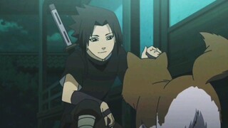 Sasuke really likes small animals!