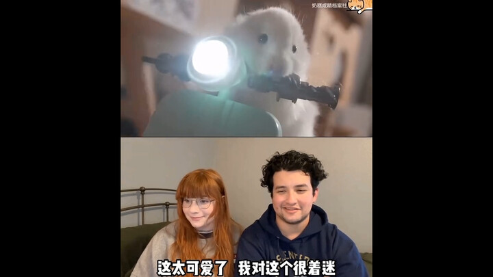 老外看猫和老鼠真人版