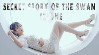 ※小呀嘛小不点啊※ IZ*ONE的隐藏第13名成员？！仿制mv 实力速翻 Secret Story of the Swan（幻想童话）