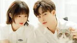 DISAPPEARING LOVE (2022) ep12 FINALE
