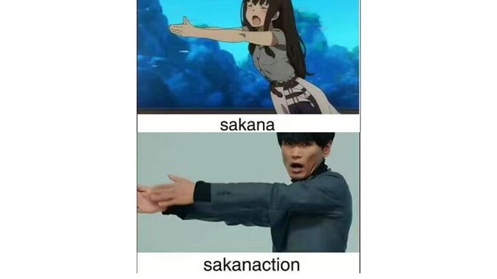 Sakana~ction！