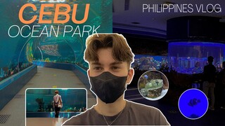 philippines travel vlog - sea life exploring