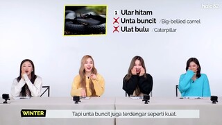 [ID SUB] The excitement of aespa guessing Indonesian!
