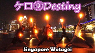 【MIKAZU】ケロ⑨DestinyでSingapore【ヲタ芸】