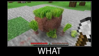 Minecraft wait what meme part 176 realistic minecraft Grass and Dirt